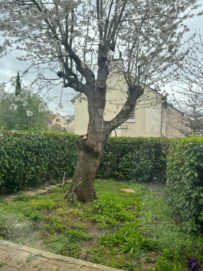 Maison Familiale, Quartier Calme Le Mans Bagian luar foto